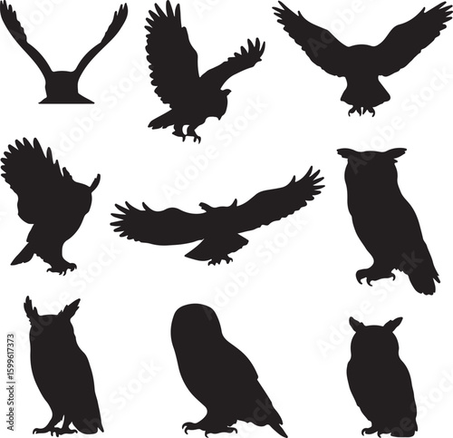 Black silhouette of flying and perched owls wings spread