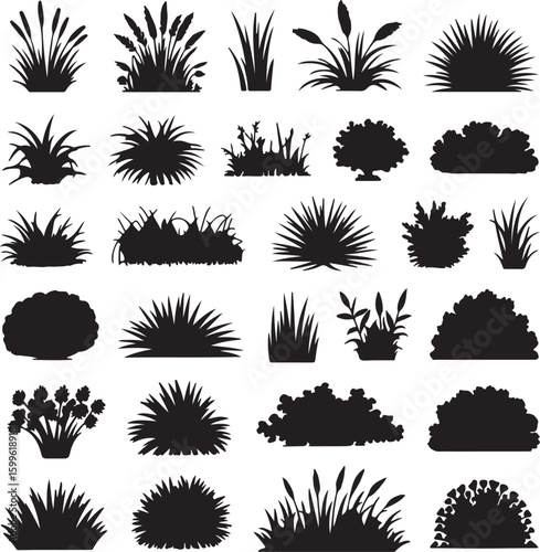 Diverse plant silhouettes grass reeds bushes plants