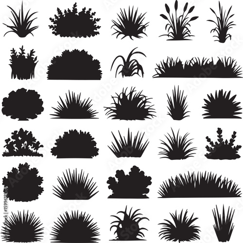Diverse plant silhouettes including grasses bushes and reeds plants