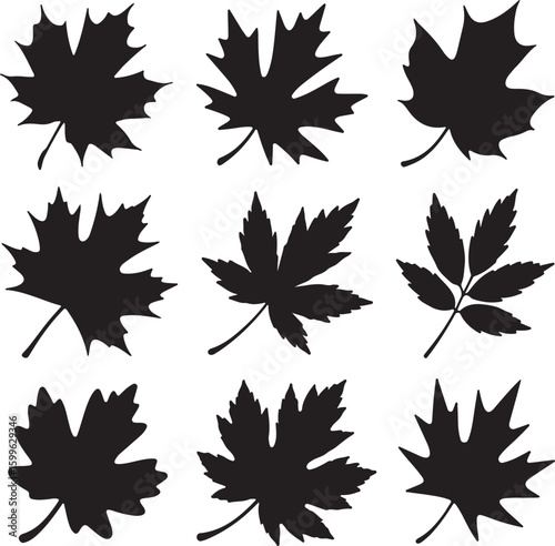 Black leaf silhouettes on white background autumn fall