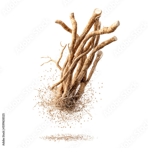 Floating Ashwagandha Roots Transparent Background
