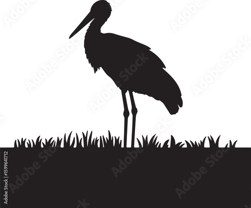 Black silhouette of a stork standing in grass bird long beak