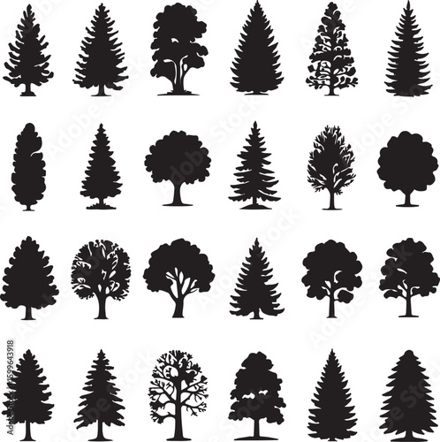 Diverse tree silhouettes evergreen deciduous forest woodland vector