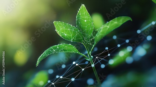 A close up of a green plant with a network of lines and dots overlayed on the leaves and surrounding area