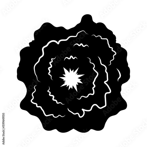 Supernova, vector silhouette icon