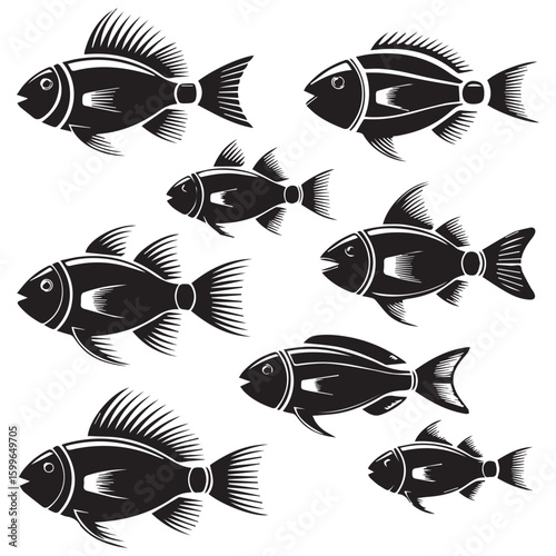 Collection of eight detailed black and white woodcut style illustrations of various freshwater aquarium fish swimming in different directions