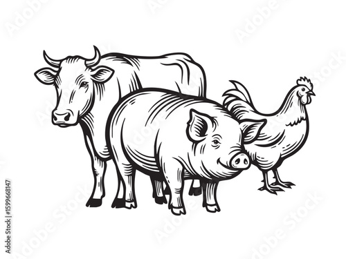  Hand-drawn vector illustration of farm animals: cow, pig, and chicken, perfect for agriculture and food designs.
