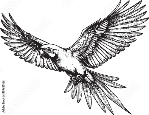 Tropical Freedom: Hand-Drawn Parrot with Open Wings