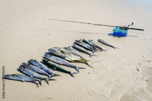 Morning catch