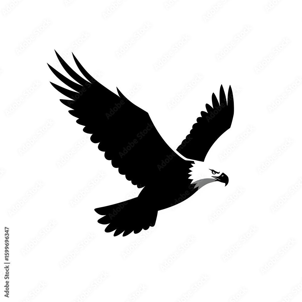 Obraz premium eagle in flight