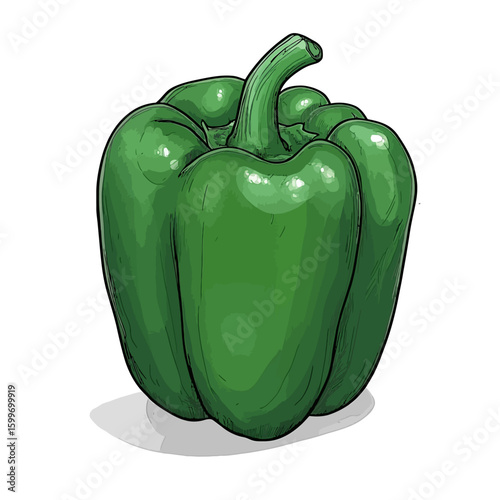 Vector green pepper on white 