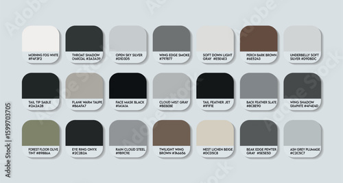 Coracina novaehollandiae Inspired Color Palette. A Natural Bird Tone Swatch Chart with HEX Codes and color names, Black-faced cuckooshrike Tropical Earthy Shades. ash gray colors to natural black