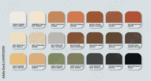 Synallaxis candei Color Palette. Synallaxis candei color Tone Swatch Chart with HEX Codes and Color Names. wood brown Tones Variants. brown metal Colors Palette vector. cream to black nature shades