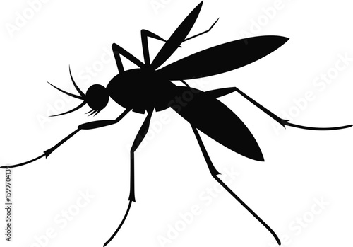 Silhouette Mosquito: A sleek silhouette of a mosquito, depicted in bold black against a plain backdrop, embodies both danger and scientific intricacy.