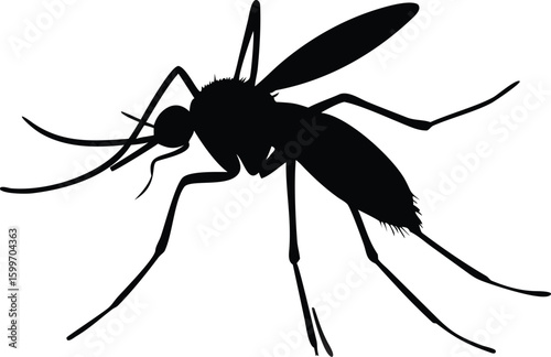 Mosquito Silhouette: A striking silhouette of a mosquito, showcasing its detailed form. It is ready to symbolize insects life and mosquito bite