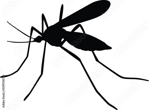Mosquito Silhouette: A detailed silhouette of a mosquito, a common insect known for its biting habit.