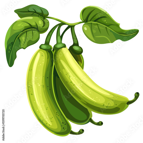 Bilimbi isolated on white background 