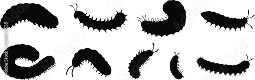 Caterpillar Clip art Vector, Black and White Insect Vector Illustration.