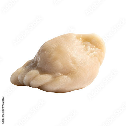 Single Uncooked Pierogi Dumpling.