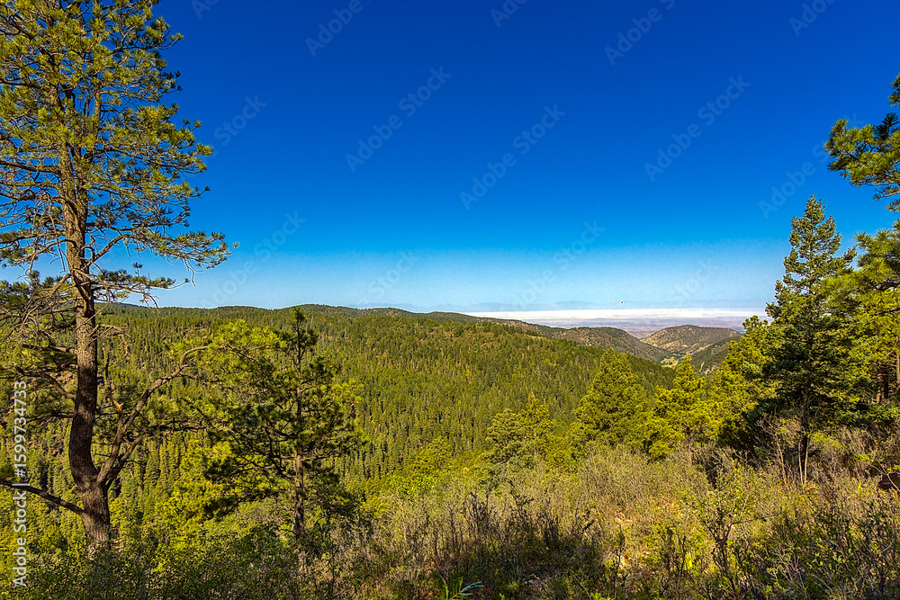 This vista offers stunning views of Hayne's Canyon below in High Rolls and beyond the Lincoln N.F. to the Tularosa Basin. White Sands Missile Range in the distance. This vista offers stunning views of Hayne's Canyon below in High Rolls and beyond the Lincoln N.F. to the Tularosa Basin. White Sands Missile Range in the distance.
