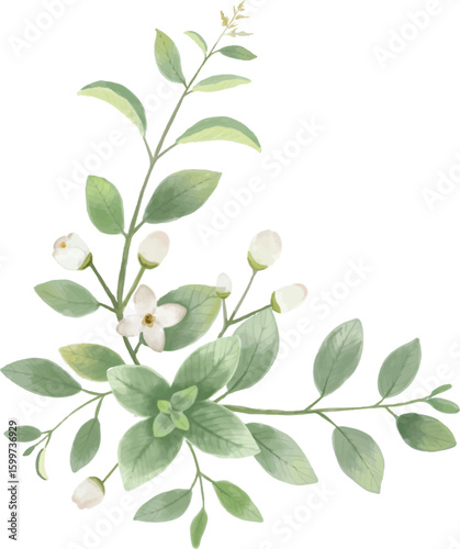 jasmine vectors, floral leaf, green leaves