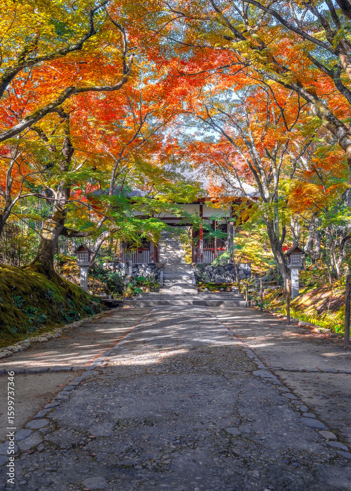 Naklejka premium Scenic view of Jojakkoji Temple with beautiful foliage in autumn in Kyoto, Japan