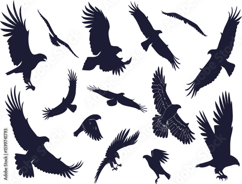 Collection of silhouettes of eagles in various flight poses showcasing powerful wings and majestic forms against a clean backdrop