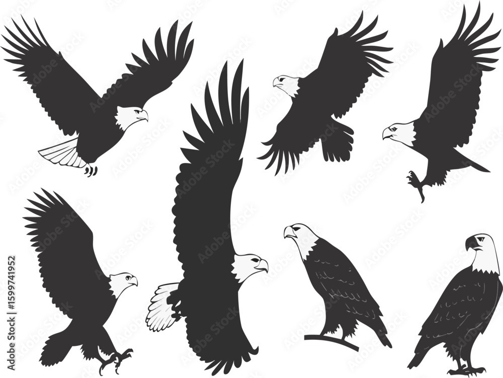 Obraz premium Collection of majestic bald eagles in various dynamic poses showcasing their powerful wings and sharp features