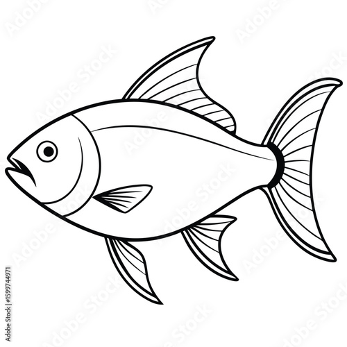 fish on a white background