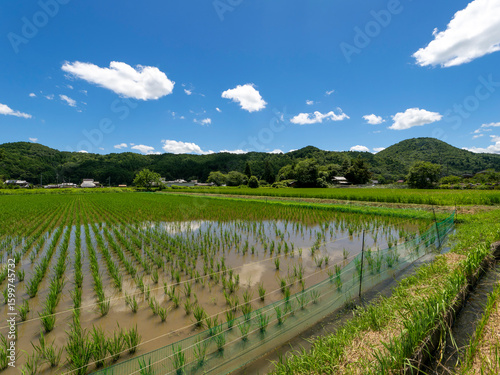 京都府南丹市に広がる田園風景