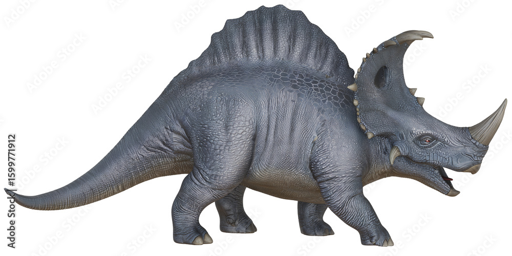 Fototapeta premium Realistic dinosaur model with prominent horns and frill.