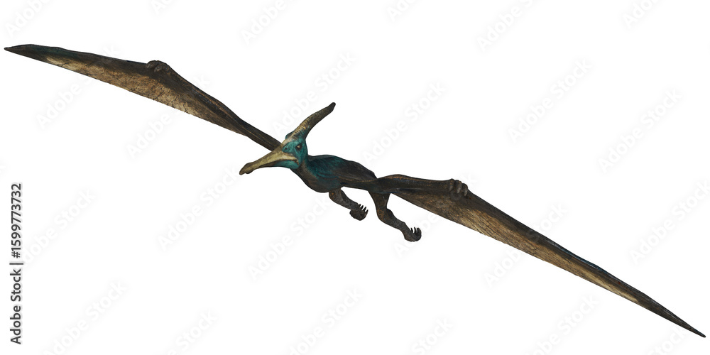 Fototapeta premium Majestic pterosaur soaring in the sky.