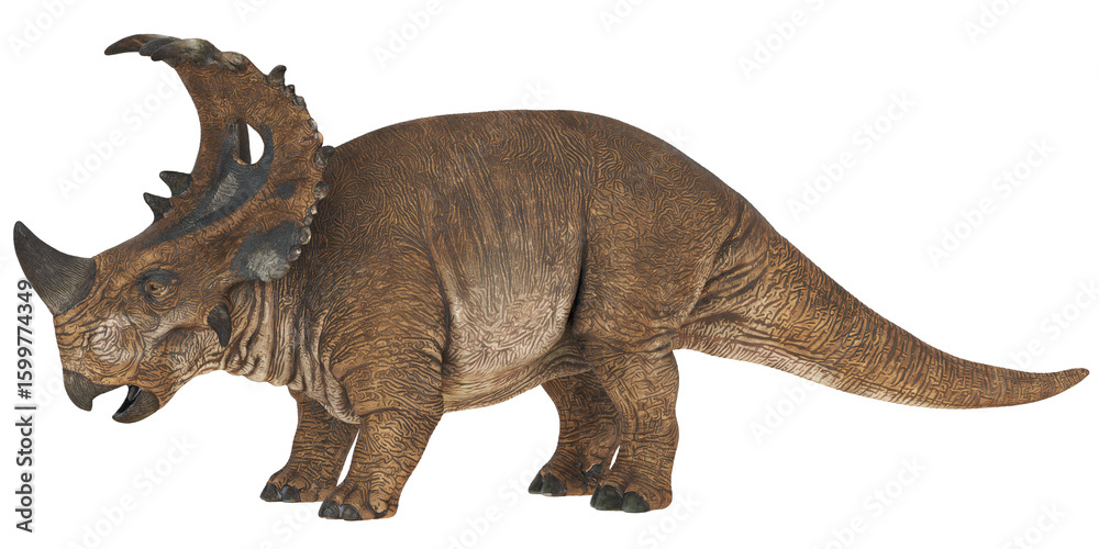 Fototapeta premium Detailed model of a horned dinosaur.