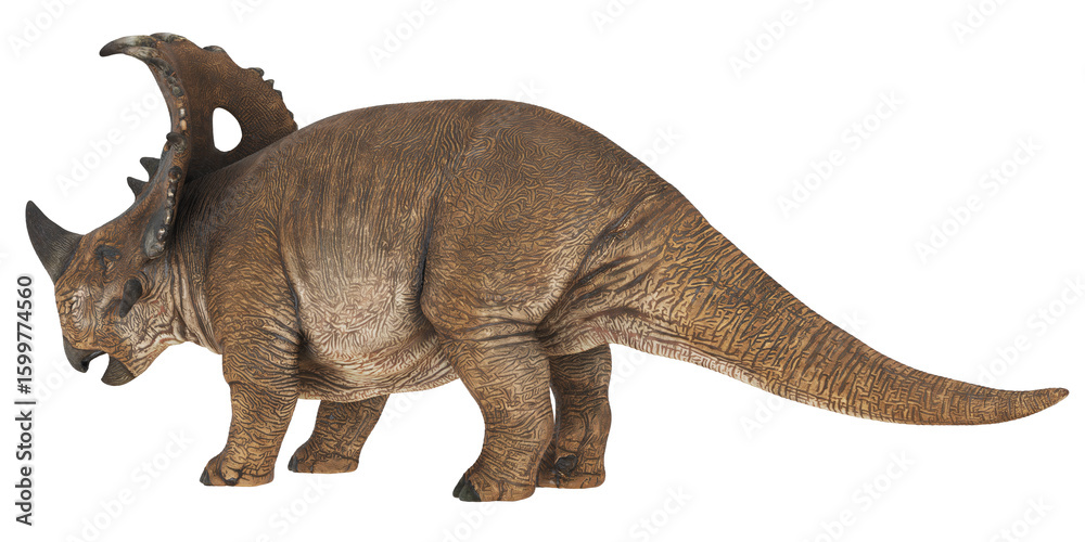 Fototapeta premium Realistic ceratopsian dinosaur toy model