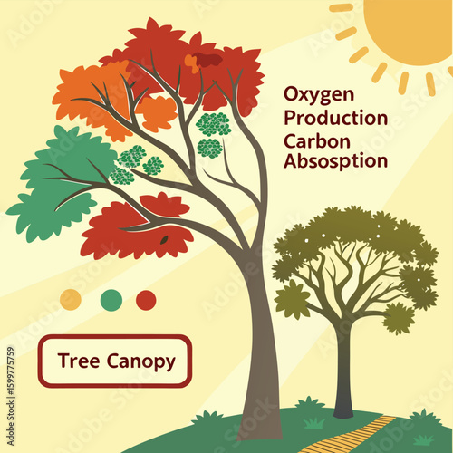 Photosynthesis and Oxygen: A vibrant illustration of a tree's critical role in the natural environment.
