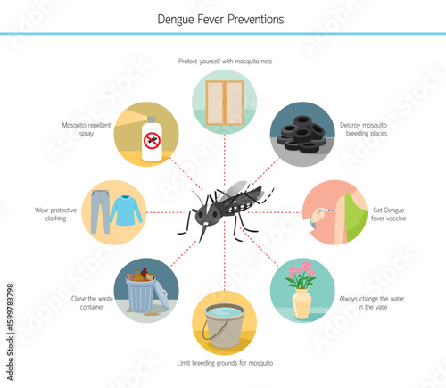 Infographic of Dengue Fever Preventions