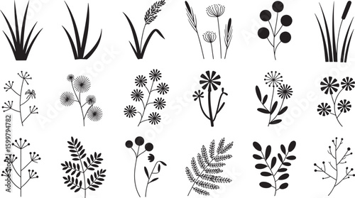 Black silhouette botanical elements and plants on white background grass reeds