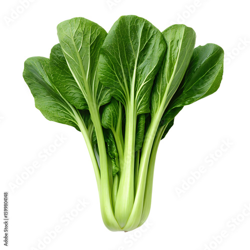 A fresh bunch of vibrant green bok choy is isolated on a transparent background