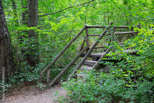 Details from old wooden bridge in a forest