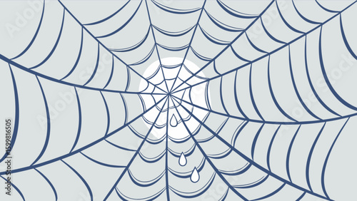 Spiderweb vector graphic illustration for halloween background or creepy web design elements, spider web design