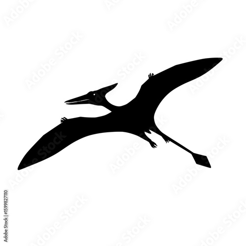 Silhouette of a pterodactyl in flight, wings spread, against a white background.