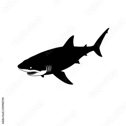 Silhouette of a great white shark swimming, showing teeth, against white background.