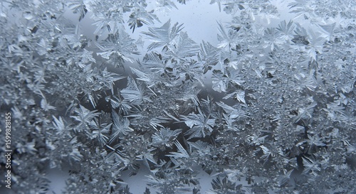 Frost patterns on a winter window