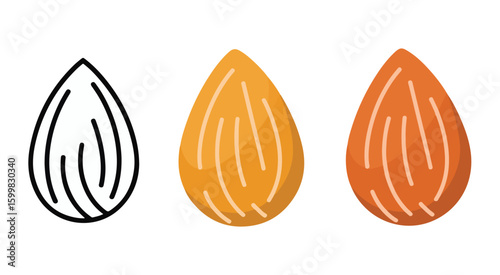 Almond seed outline and colored variations food healthy