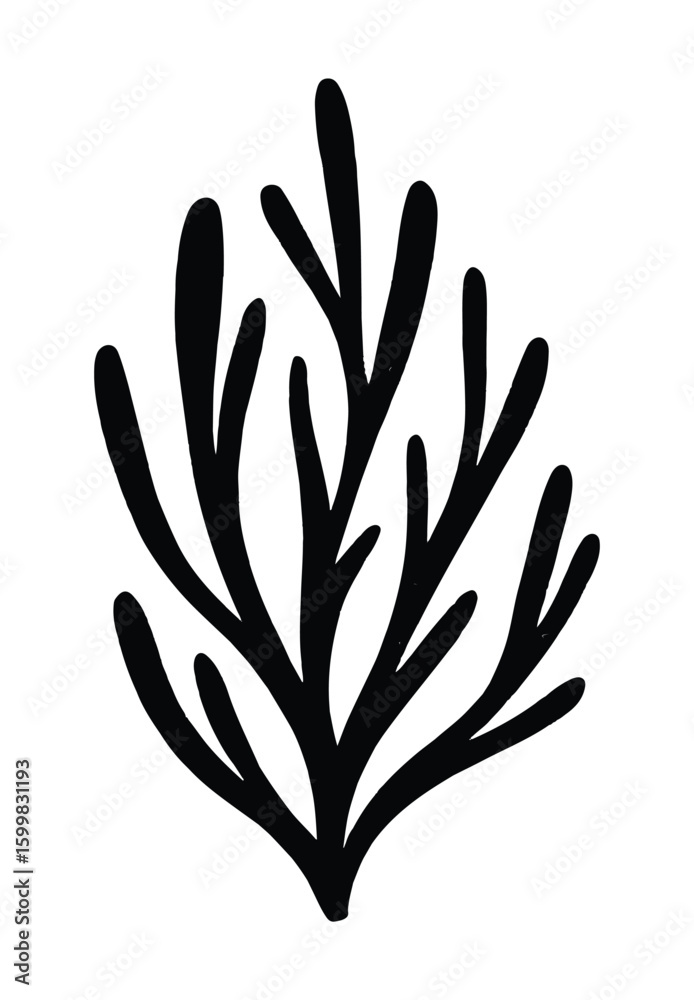 Black coral branch underwater marine Black coral branch underwater marine