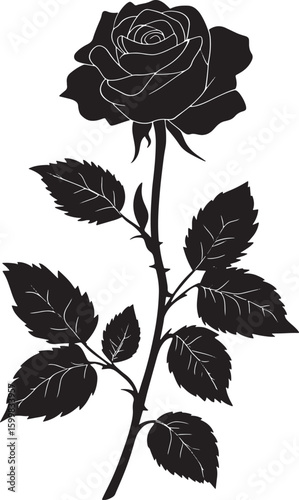 Black silhouette of a rose flower with leaves white