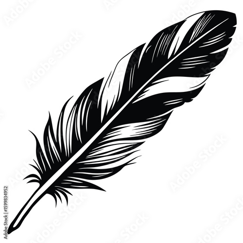 vector illustration of feather