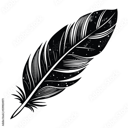 vector illustration of feather