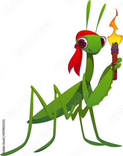 Cartoon praying mantis animal character dressed as a pirate wearing red bandana and holding a lit torch. Isolated vector fantasy game or book insect swashbuckler personage ready for nautical adventure