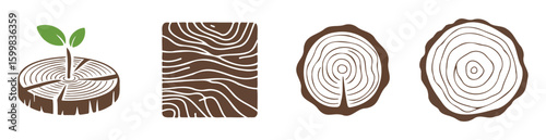 Wood grain patterns and a sprouting seedling texture growth